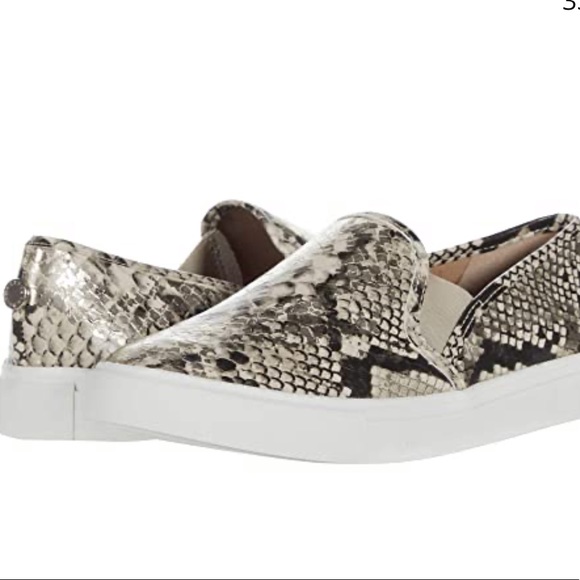 Steve Madden Symba shoes - Picture 1 of 1